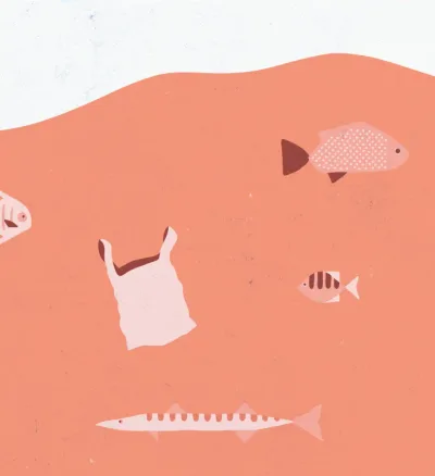 Surfrider Foundation